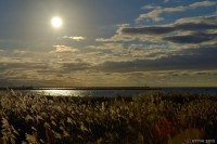 /album/%e5%a4%8f/%e3%82%b9%e3%82%b9%e3%82%ad%e3%80%80%ef%bd%a5%ef%bd%a5%ef%bd%a5%e5%a4%95%e9%99%bd%e3%81%ab%e8%bc%9d%e3%81%84%e3%81%a6%ef%bd%a5%ef%bd%a5%ef%bd%a53-1-jpg/